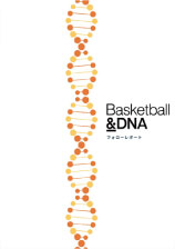 フォローレポート